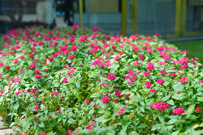 �����̻�����