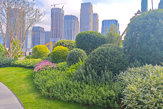 ������԰�̻�����