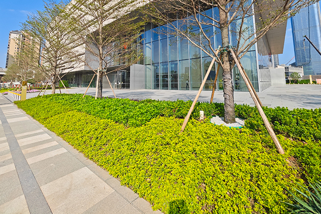 ������԰�̻�����