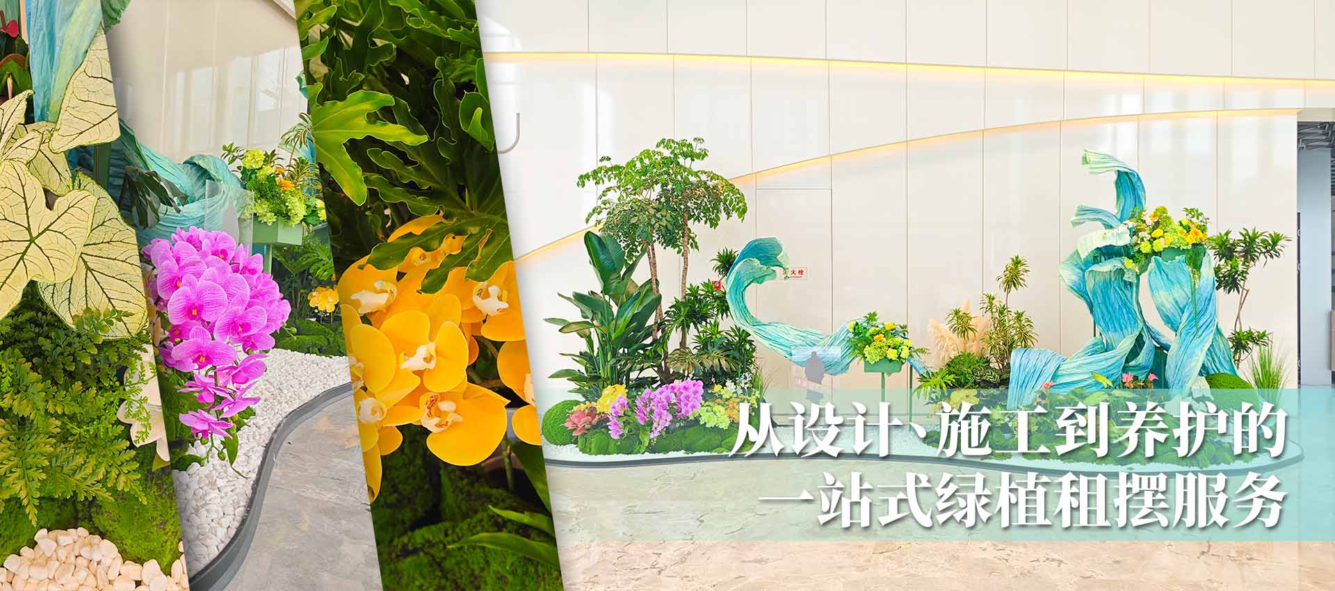 һվʽ��ֲ����