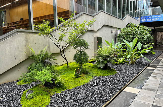 ��������Ƴ���ƹ���ֲ��������̻�����