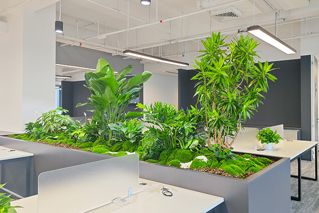 ��Ϸ��˾�ܲ���ֲ���