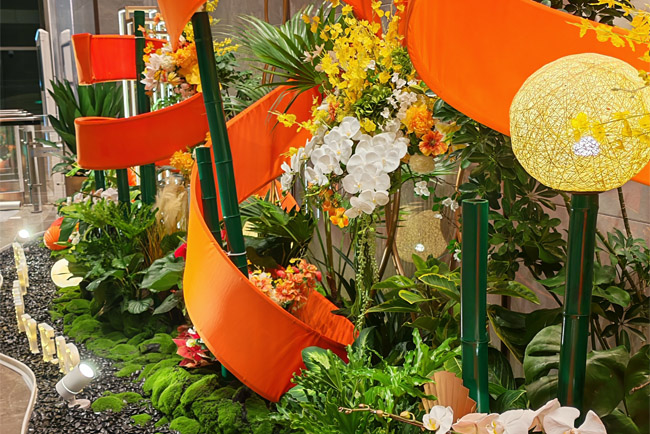 ���ʺ��˴���Ԫ��ֲ���쾰